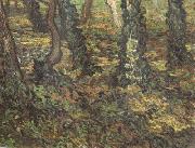 Vincent Van Gogh Tree Trunks with Ivy (nn04) oil painting picture wholesale